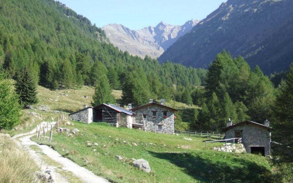 Il Bramito del Cervo in Val Grande - BergamoXP