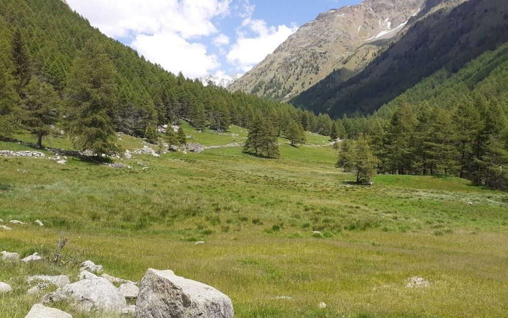 Il Bramito del Cervo in Val Grande - BergamoXP