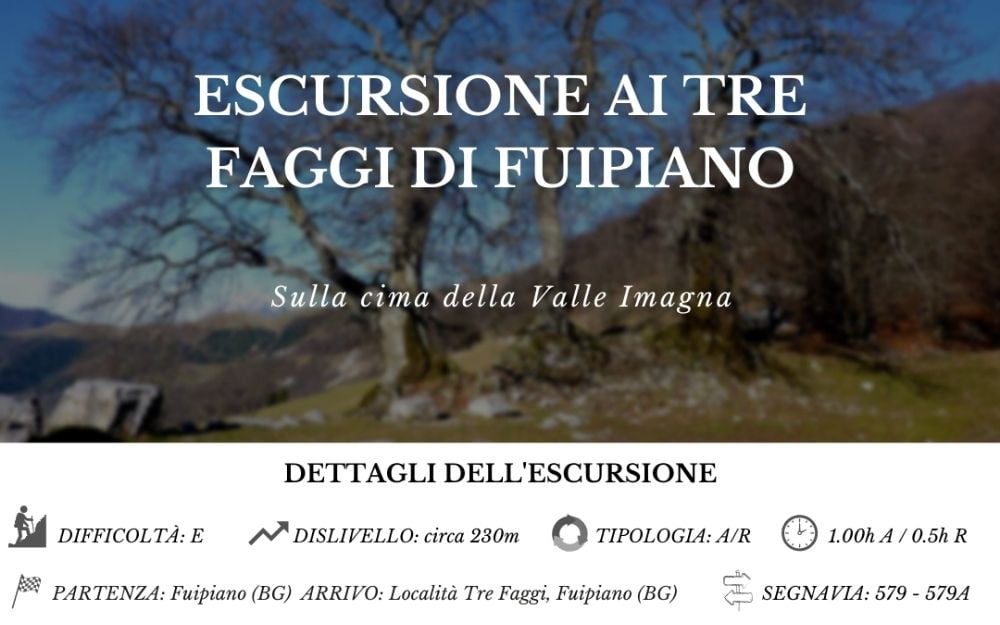3 faggi of Fuipiano - BergamoXP