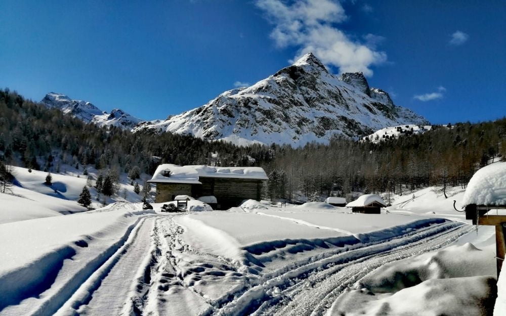 Snowshoeing in Val Viola - BergamoXP